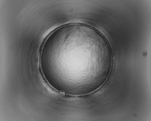 X0000113201127200909241352