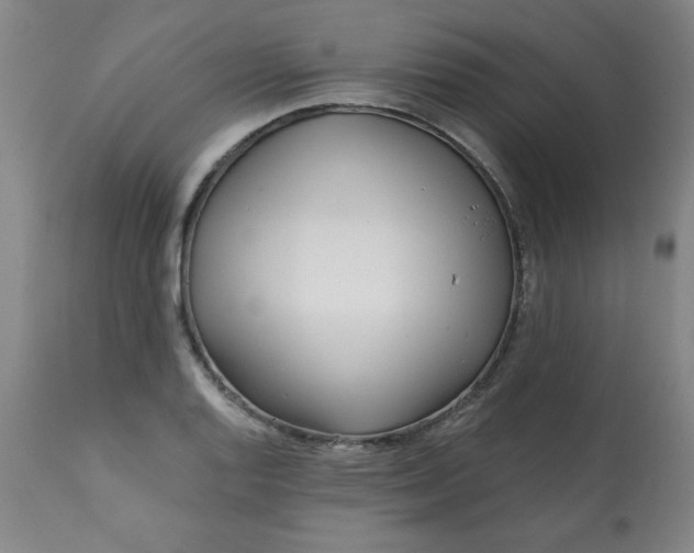 X0000113201128200909241352