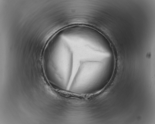 X0000113201129200909241352