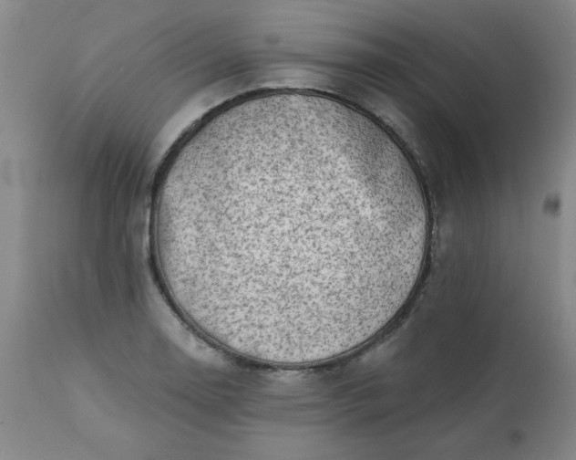 X0000113201130200909241352