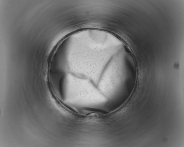 X0000113201131200909241352