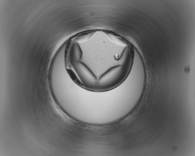 X0000113201132200909241352