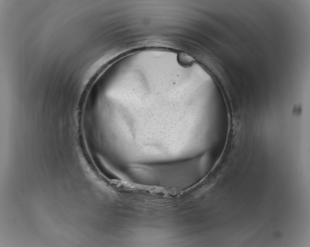 X0000113201133200909241352