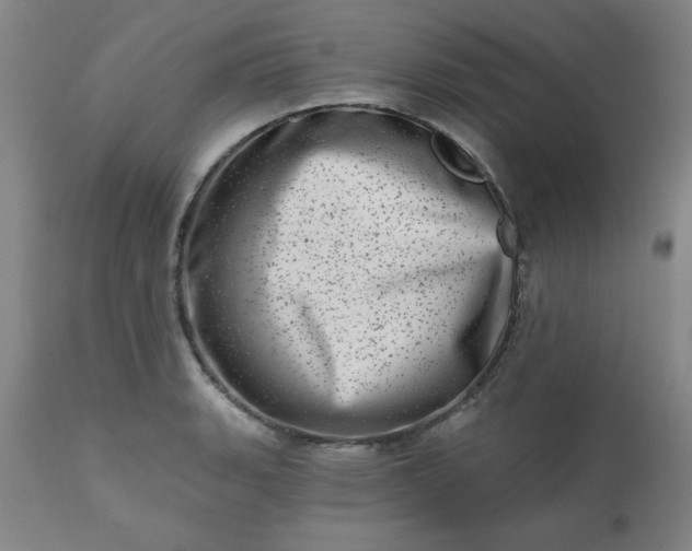 X0000113201135200909241352