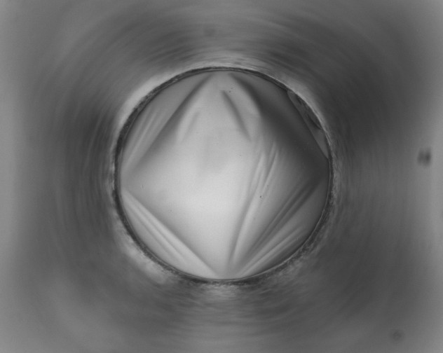 X0000113201136200909241352