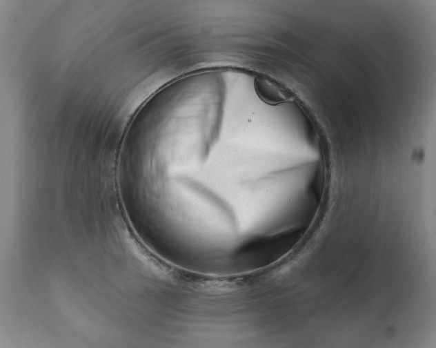 X0000113201137200909241352