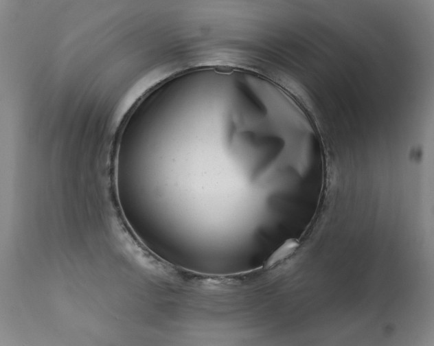 X0000113201138200909241352