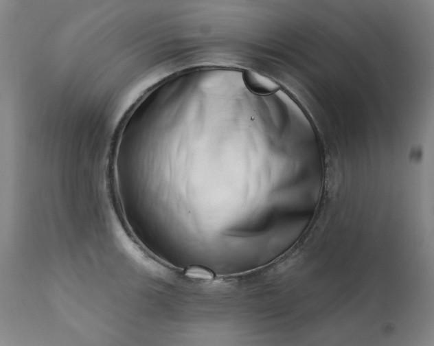 X0000113201139200909241352