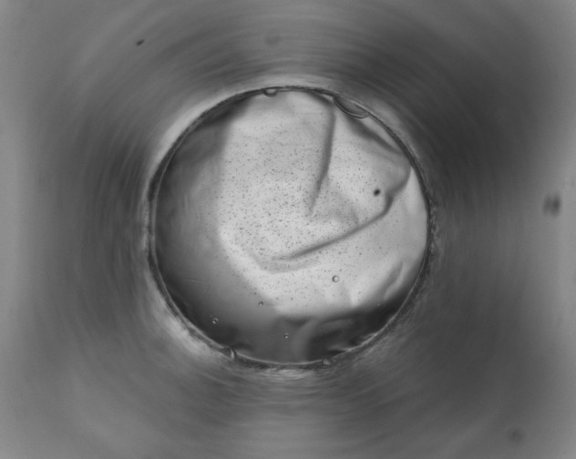 X0000113201140200909241352