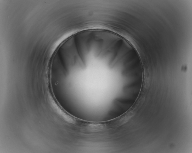 X0000113201142200909241352