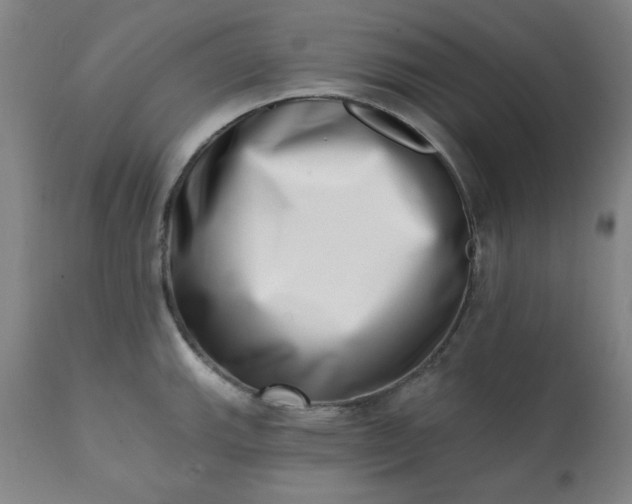 X0000113201143200909241352