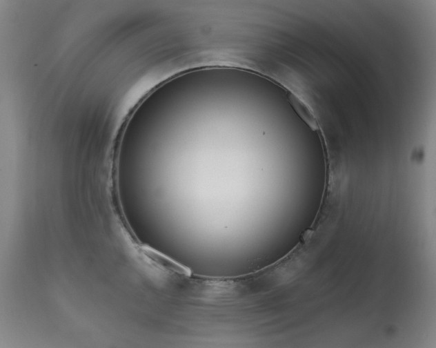 X0000113201144200909241352