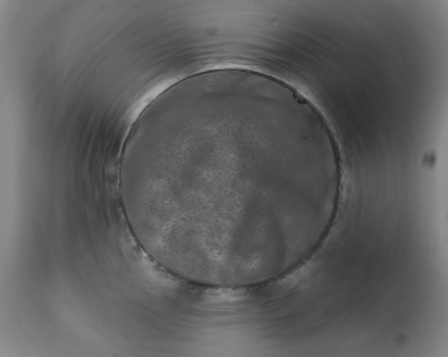 X0000113201145200909241352