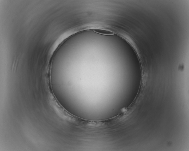 X0000113201146200909241352