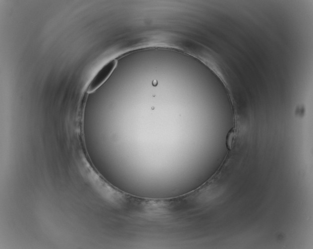 X0000113201148200909241352