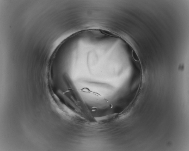 X0000113201149200909241352