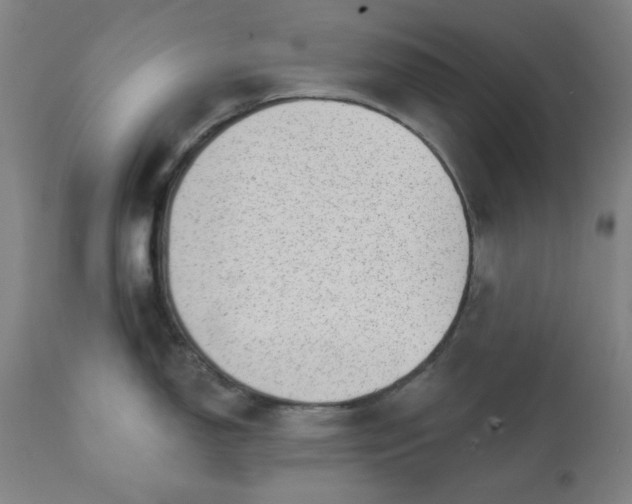 X0000113201150200909241352