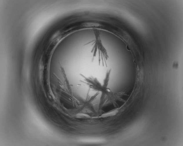 X0000113201151200909241352