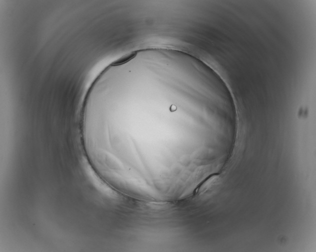 X0000113201152200909241352