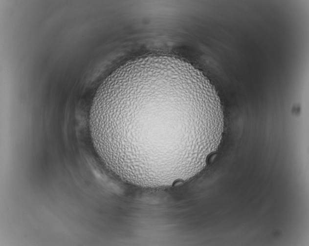 X0000113201154200909241351