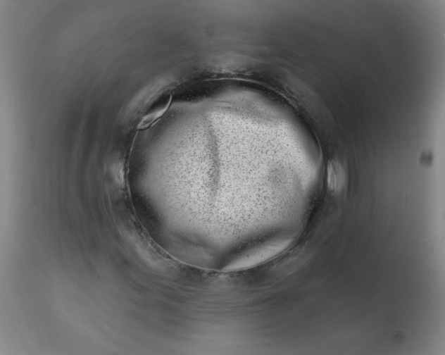 X0000113201155200909241351