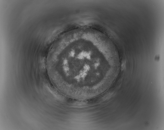 X0000113201156200909241351