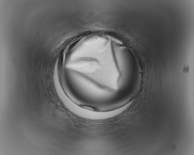 X0000113201157200909241351