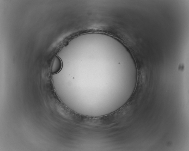 X0000113201158200909241351