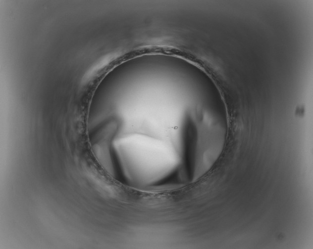 X0000113201159200909241351