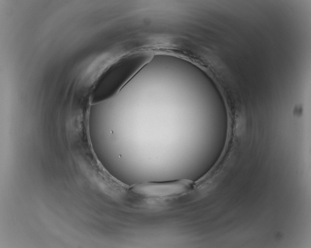 X0000113201161200909241351