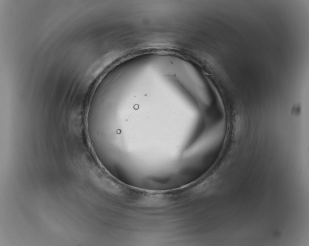 X0000113201162200909241351