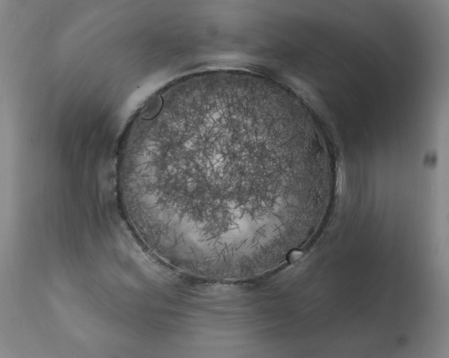 X0000113201164200909241351