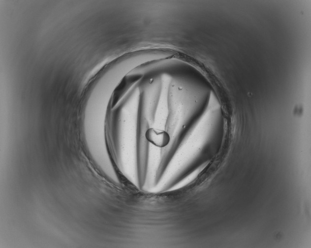 X0000113201165200909241351