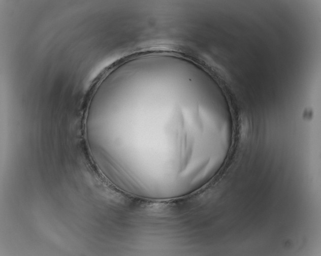 X0000113201166200909241351