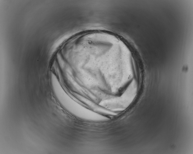 X0000113201167200909241351