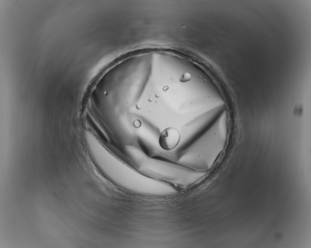 X0000113201168200909241351