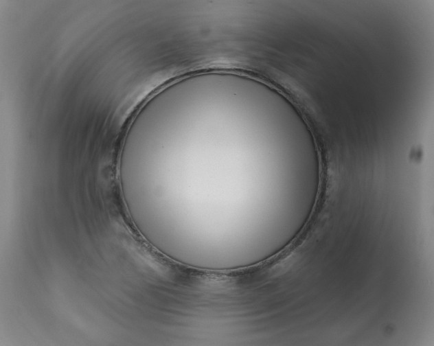 X0000113201170200909241351