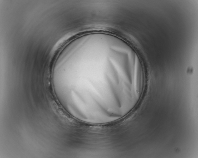 X0000113201172200909241351