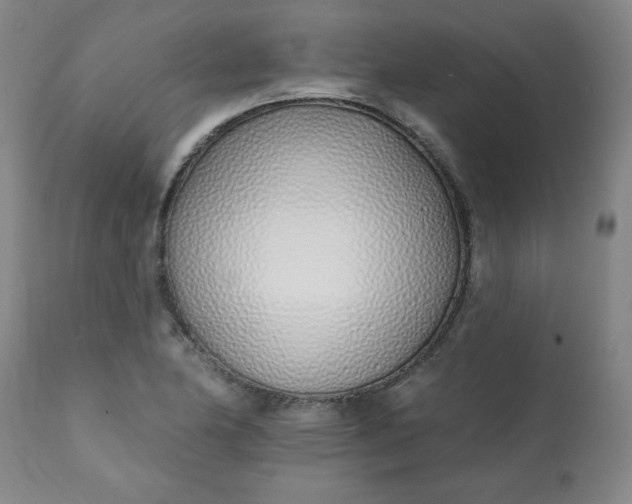 X0000113201174200909241351