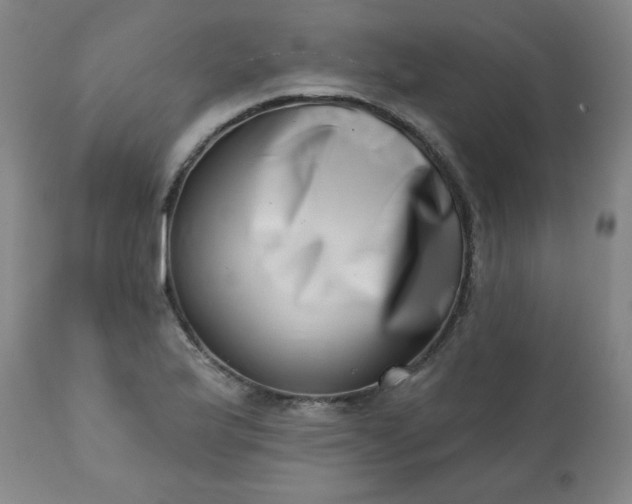 X0000113201175200909241351