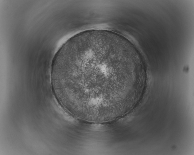 X0000113201176200909241351