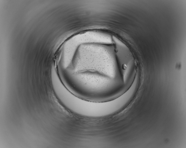 X0000113201177200909241351