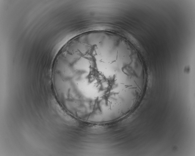 X0000113201178200909241351