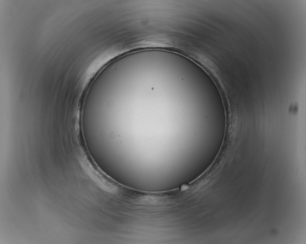 X0000113201179200909241351