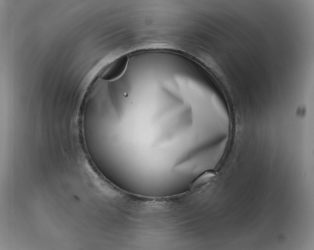 X0000113201181200909241351