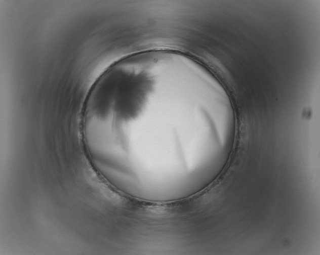 X0000113201182200909241351