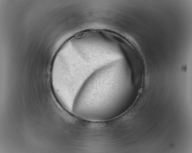 X0000113201183200909241351