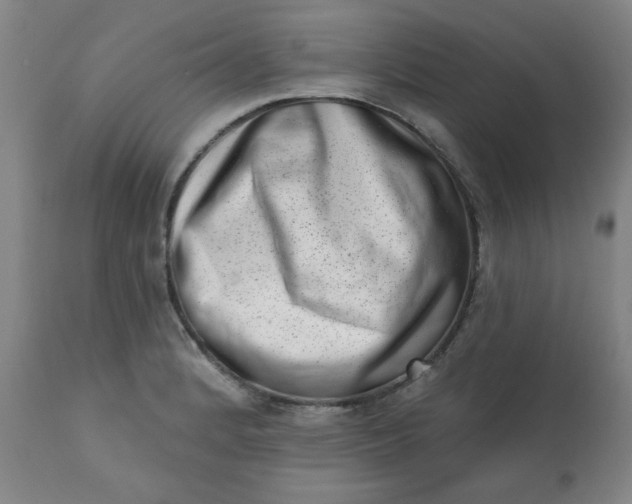 X0000113201184200909241351