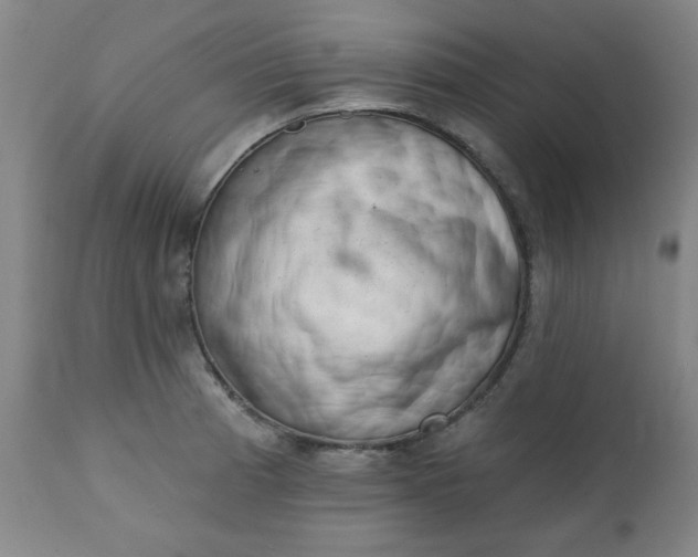 X0000113201185200909241351