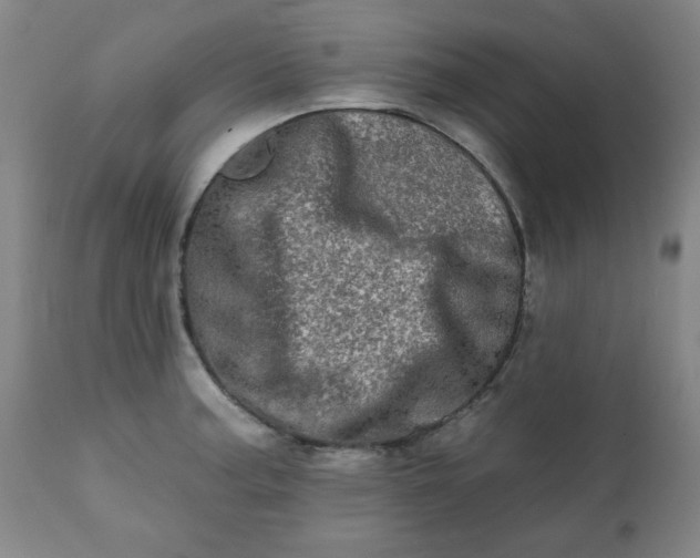 X0000113201187200909241351